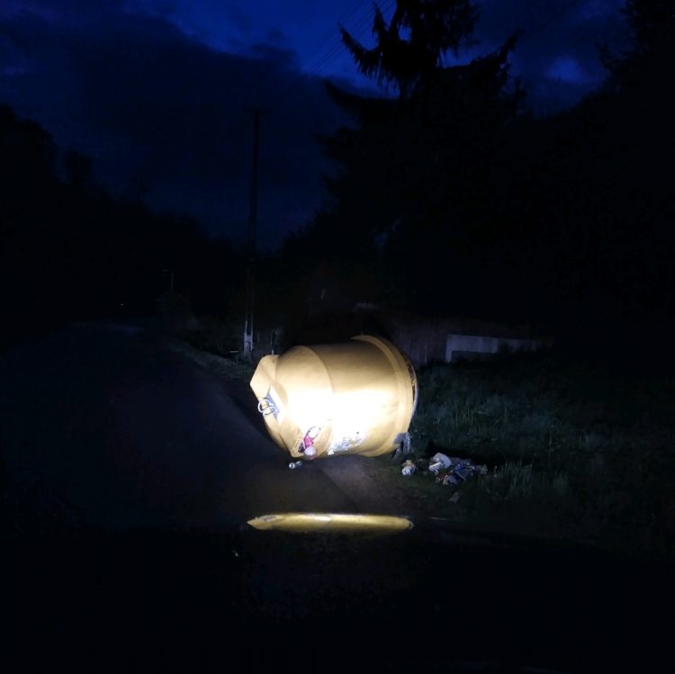 Urșii dau târcoale gospodăriilor din Băiuț