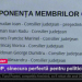 ATOP: mii de lei pe lângă salariu, pentru câteva ședințe pe an într-o instituție cu rol consultativ: „Practic nu fac nimic”