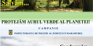 Poliţiştii reamintesc prevederile legislative privind codul silvic