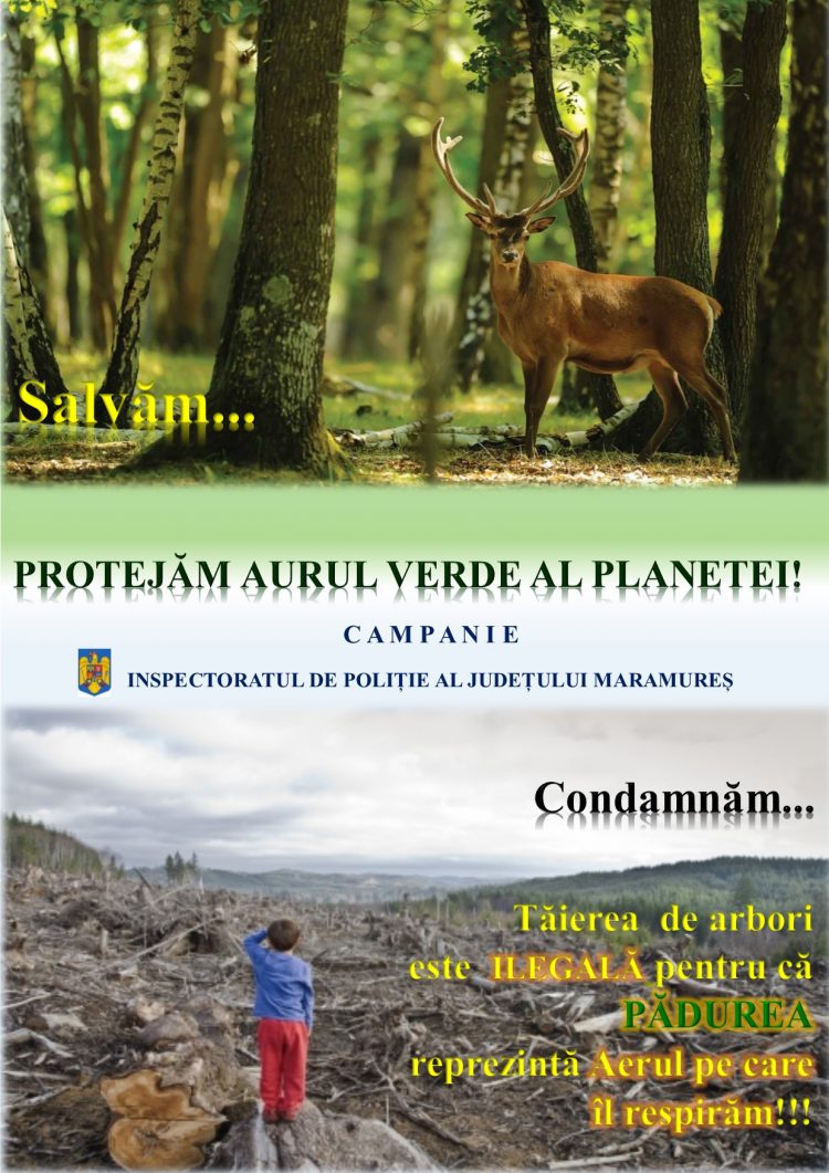 Poliţiştii reamintesc prevederile legislative privind codul silvic