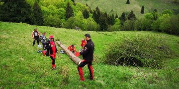 Tragedie. Un bărbat din Budeşti a murit strivit de copacul pe care îl tăia