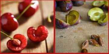 Să protejăm mediul înconjurător. Ce poţi face cu sâmburii fructelor