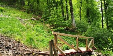 Salvamontiștii maramureșeni au refăcut podețul peste pârâul din rezervația naturală Creasta Cocoșului