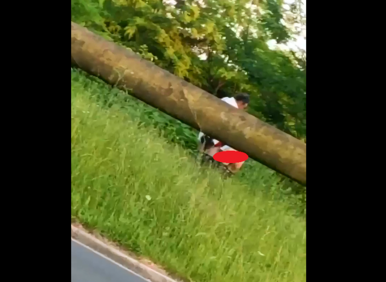 Imagini halucinante surprinse în Baia Mare: „Nici pe Porn Hub nu vezi asemenea scene!” VIDEO