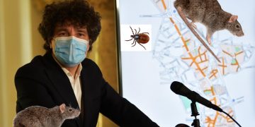 Nicuşor Dan promite că scapă Bucureştiul de şobolani şi căpuşe. Părere: Ar trebui să înceapă cu politicienii