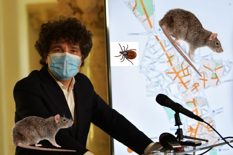 Nicuşor Dan promite că scapă Bucureştiul de şobolani şi căpuşe. Părere: Ar trebui să înceapă cu politicienii