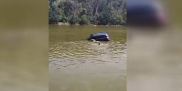 Momentul în care este salvată o tânără care a căzut cu mașina în lac