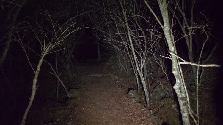 Poliţiştii de frontieră de la Vişeu de Sus au fost găsiţi după 13 ore de căutări. Se rătăciseră din cauza ceţii