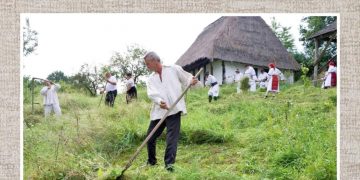 CLACĂ DE COASĂ ÎN SATUL DE PE DEAL