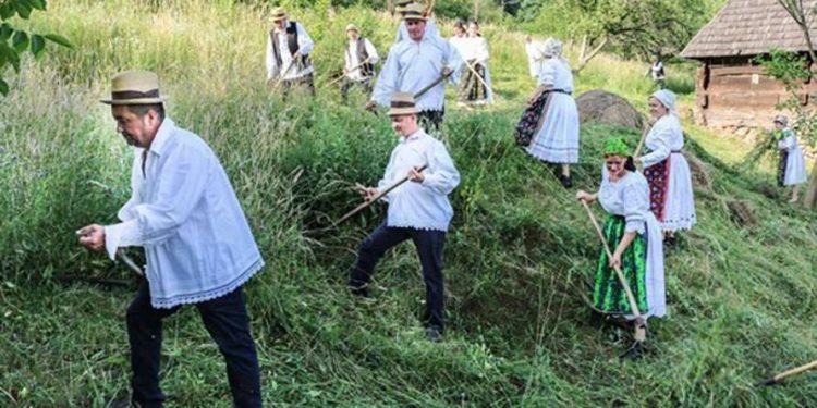 Clacă la coasă: Maramureșenii sunt așteptați în Muzeul Satului