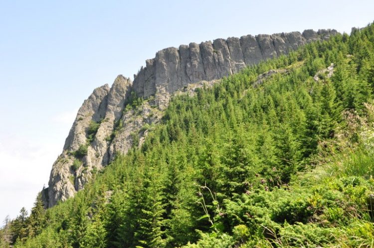 Drumeție în Aria Naturală Protejată Creasta Cocoșului, sâmbătă, 5 iunie