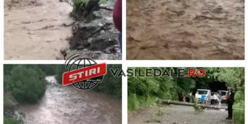 GALERIE FOTO: Furtunile au invadat Maramureșul, lăsând în urma lor copaci rupți și inundații