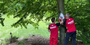 Salvatorii montani voluntari ai Salvamont Maramureș au terminat de marcat traseul turistic dintre Blidari şi Poiana Soci