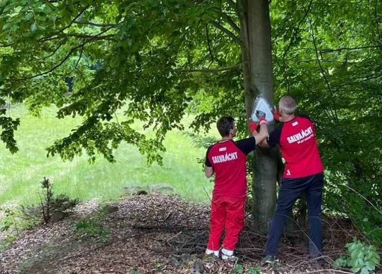 Salvatorii montani voluntari ai Salvamont Maramureș au terminat de marcat traseul turistic dintre Blidari şi Poiana Soci