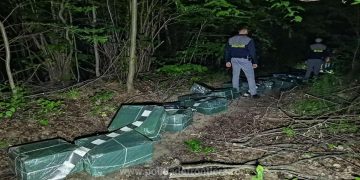 Focuri de armă și peste 16.000 pachete cu țigări confiscate la Teceu Mic. Contrabandiştii au reuşit să scape după ce au sărit în Tisa