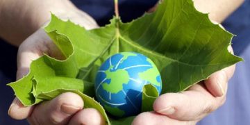 5 iunie, Ziua Mediului 2021: Reconstrucția ecologică aduce natura înapoi în viața noastră