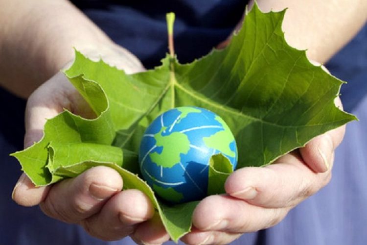 5 iunie, Ziua Mediului 2021: Reconstrucția ecologică aduce natura înapoi în viața noastră