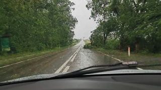 COPACI RUPŢI DE FURTUNĂ ŞI ARUNCAŢI PE ŞOSELELE DIN ŢARA CHIOARULUI