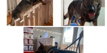 Max, ofițerul băimărean s-a relaxat la salon