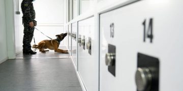 Persoanele care ajung în aeroportul Sibiu, verificate de câini antrenați să depisteze infecția cu COVID