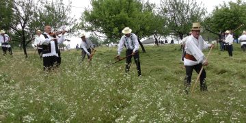 Clacă de cosit iarbă la Codru Butesii