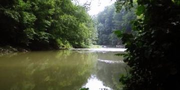 TRAGEDIE LA CORUIA. Cadavrele a doi iubiţi, găsite în râul Lăpuș