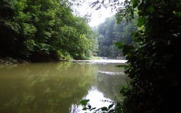 TRAGEDIE LA CORUIA. Cadavrele a doi iubiţi, găsite în râul Lăpuș