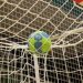 Handbal masculin: Turneul amical la Baia Mare