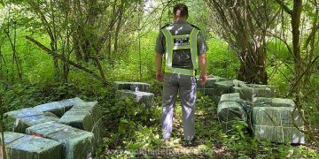 Peste 13.000 pachete cu țigări descoperite la Săpânţa. Contrabandiştii şi-au abandonat marfa şi au trecut înot apa râului Tisa