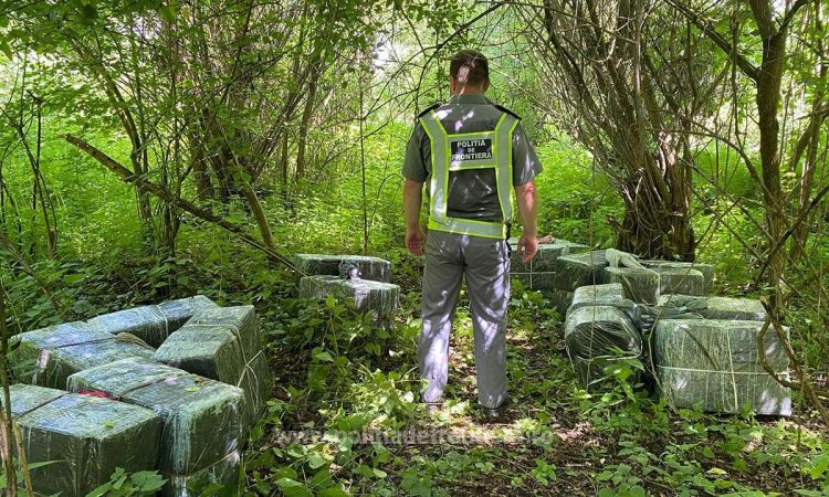 Peste 13.000 pachete cu țigări descoperite la Săpânţa. Contrabandiştii şi-au abandonat marfa şi au trecut înot apa râului Tisa