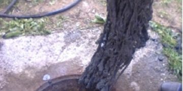 Canalizarea NU e coșul de gunoi! – FOTO