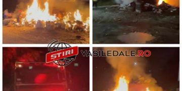 BORȘA – AU ARUNCAT GUNOIUL ÎN TOMBERON APOI I-AU DAT FOC