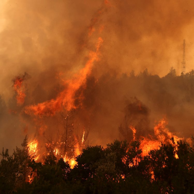 FOTO: Pompierii români, eroi în Grecia