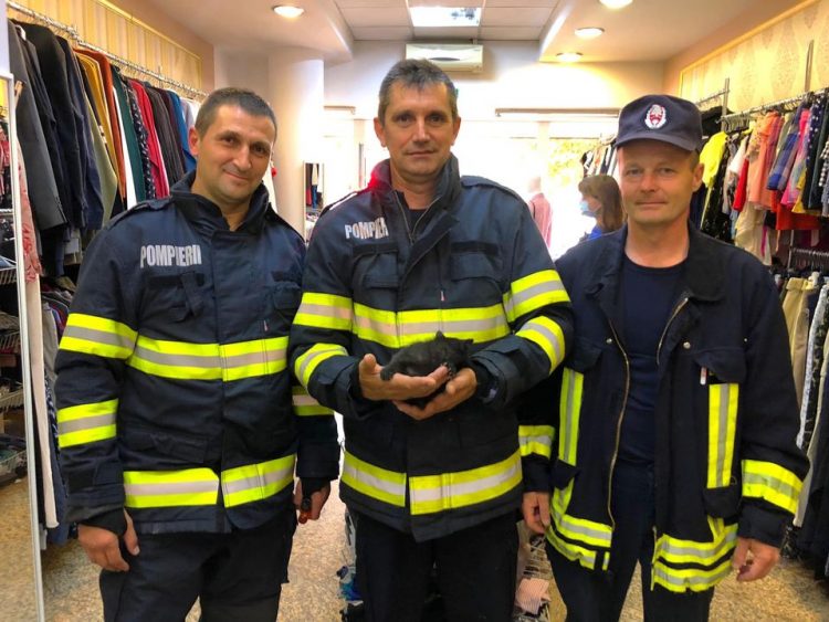 Pompierii băimăreni, „misiune imposibilă” încheiată cu succes – FOTO