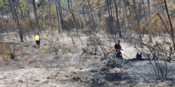 Comandantul român al operațiunii din Grecia: Orice incendiu stins este o victorie