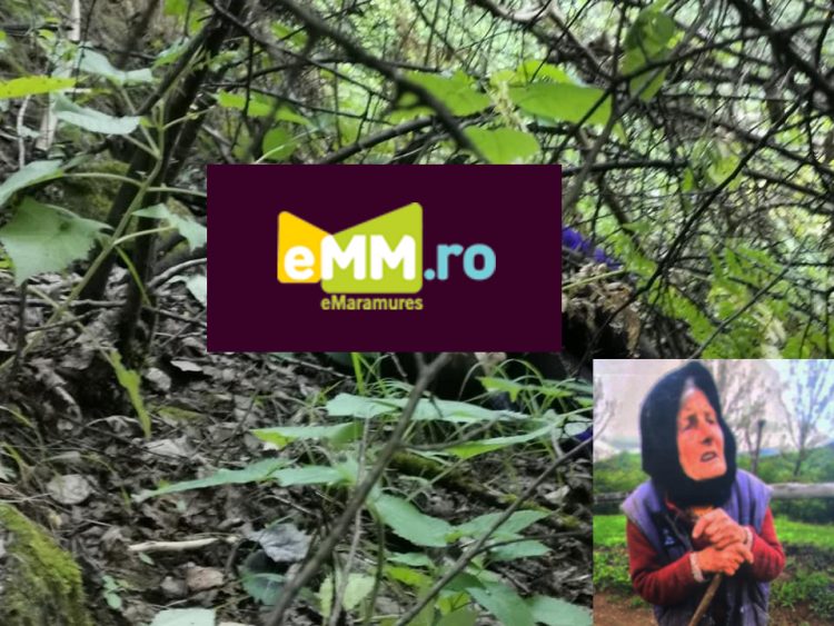 O nouă tragedie la Borșa: Din păcate, femeia a fost găsită decedată