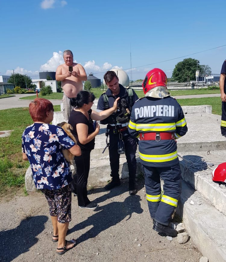 Căţel fără stăpân, salvat dintr-un canal de pompierii maramureşeni – FOTO