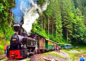 MOCĂNIŢA PLINĂ CU TURIŞTI DE LA VIȘEUL DE SUS A DERAIAT