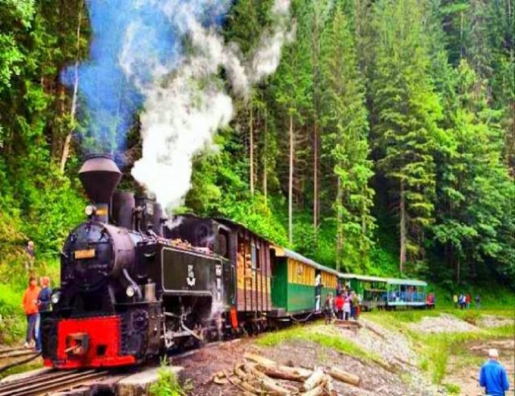 MOCĂNIŢA PLINĂ CU TURIŞTI DE LA VIȘEUL DE SUS A DERAIAT