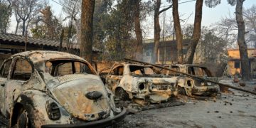 11 zile de haos în Grecia, unde oamenii fug disperați din calea focului, iar animalele mor sufocate