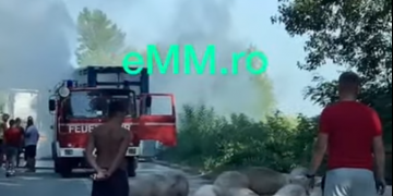 Incendiu la Țicău. Un camion plin cu porci la un pas să ardă de vii – VIDEO