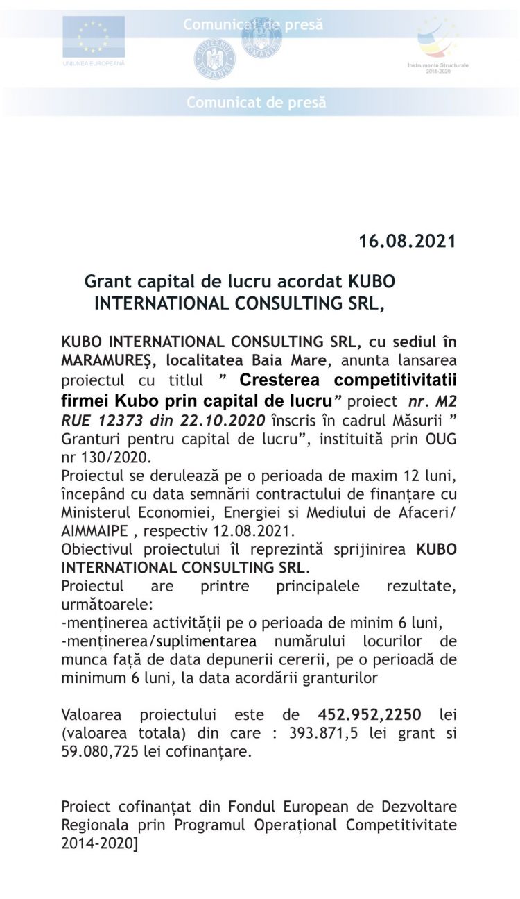 Grant capital de lucru acordat BRINGO VISION SRL