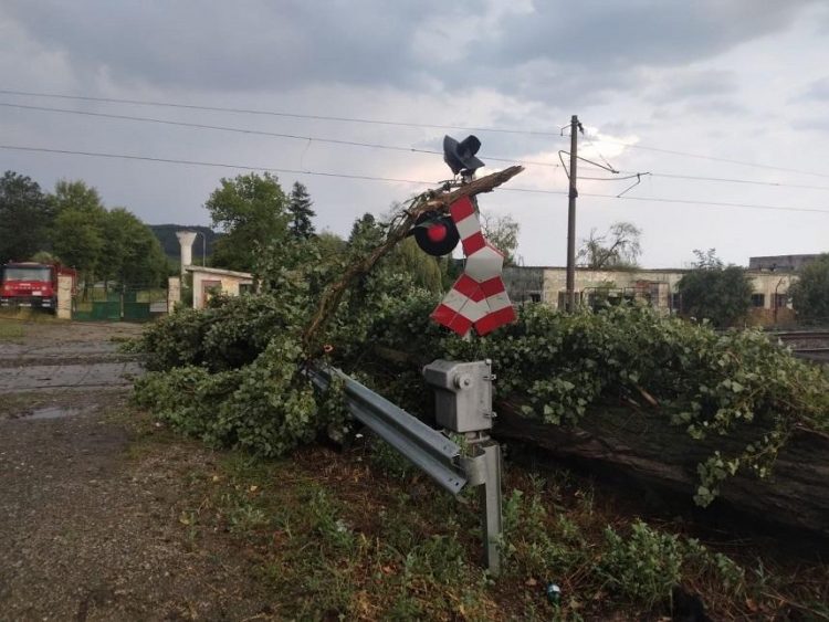 ACCIDENT în Jucu. Un șofer a pierdut controlul mașinii și a propus un accident