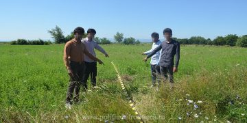 Patru cetăţeni din Pakistan opriți la frontiera de nord a țării