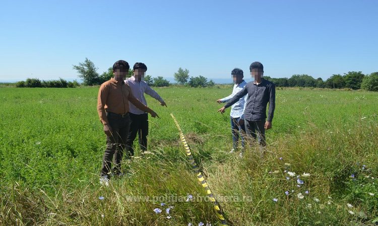 Patru cetăţeni din Pakistan opriți la frontiera de nord a țării