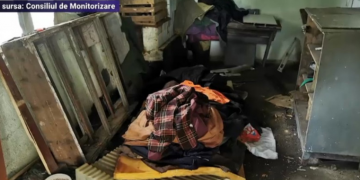 FOCARE DE INFECȚII în două centre de îngrijire: Mop clătit în vasul de toaletă, gândaci prezenți, saltele rupte și îmbibate cu urină