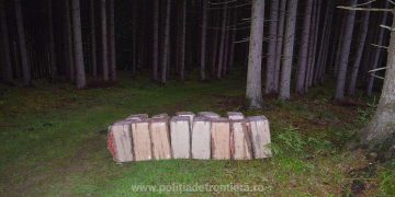 22.000 de pachete cu țigări abandonate în tufişuri, confiscate de poliţiştii de frontieră