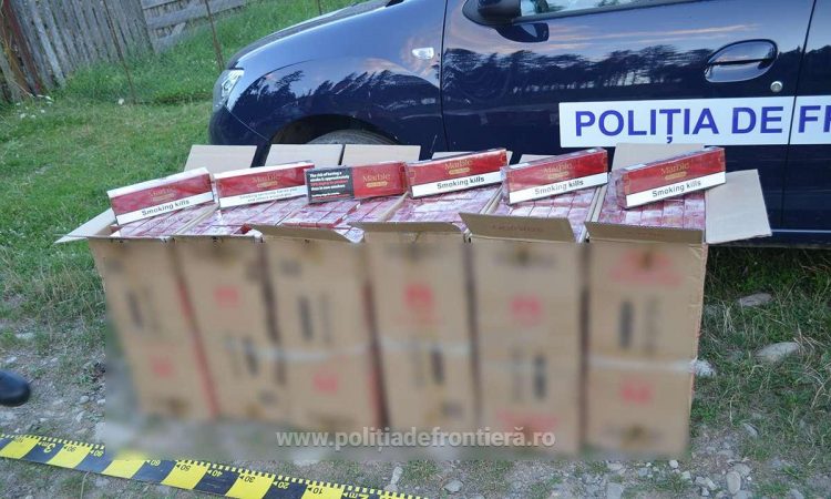 Ţigări ascunse după bancheta unui microbuz descoperite cu ajutorul câinelui poliţist CEY