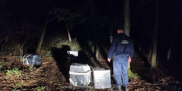 Peste 6.000 de pachete de țigări de contrabandă, descoperite de polițiștii de frontieră