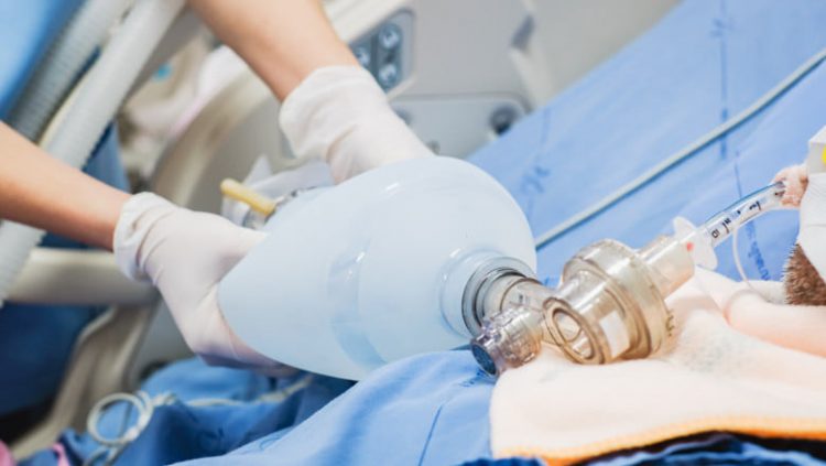 România ar putea ajunge la 20.000 de cazuri de Covid pe zi în octombrie